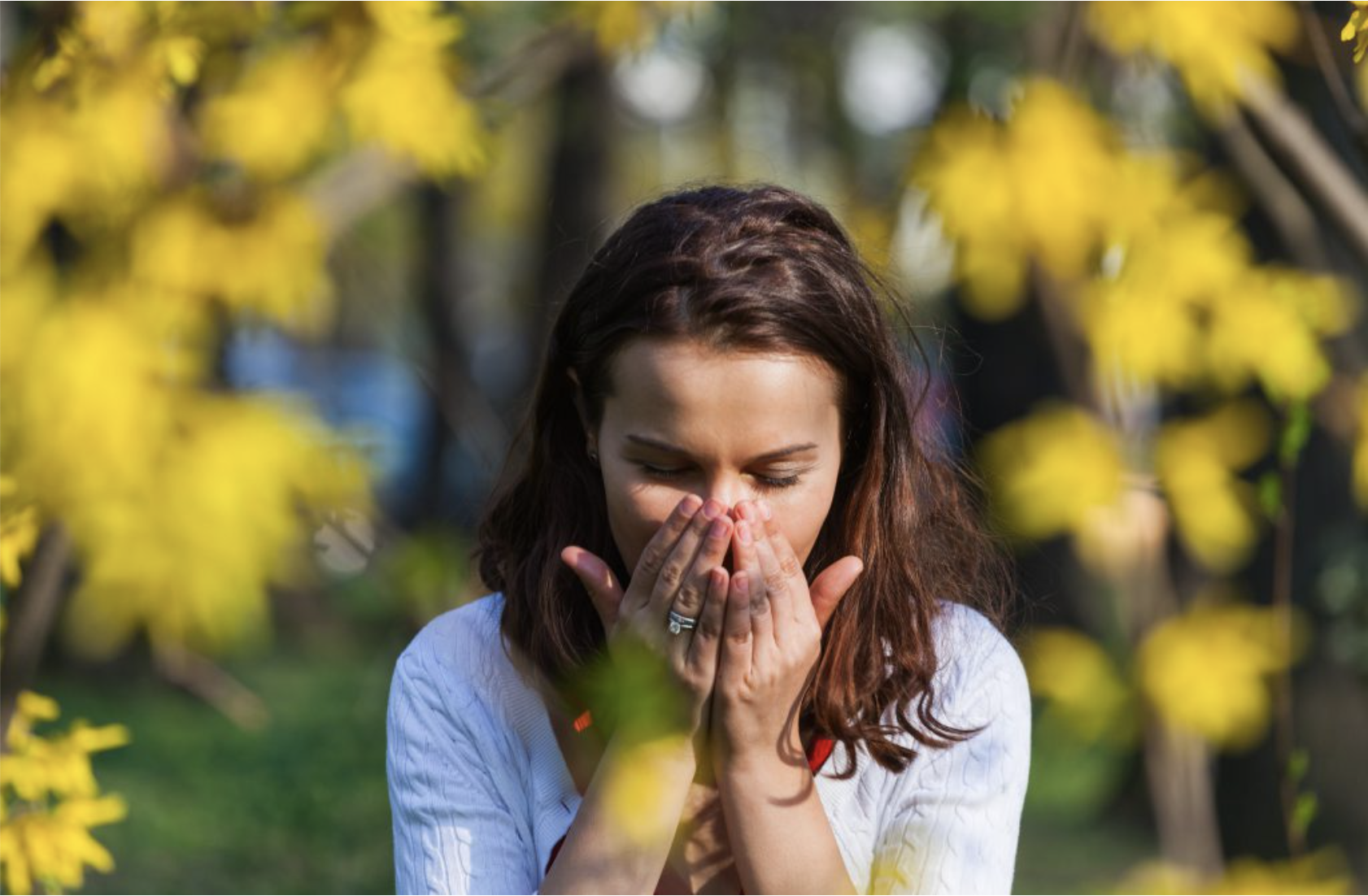 Eye Allergies What They Are & How To Treat Them, header